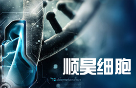 顺昊细胞