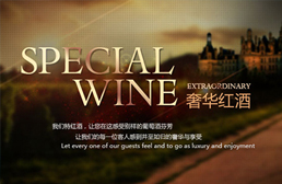 SPECIAL WINE奢华红酒